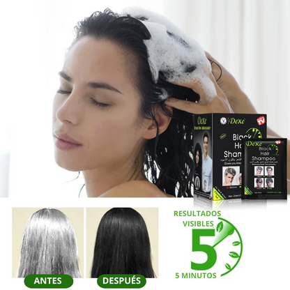 BlackHair® | Shampoo cubre Canas en 5 minutos | Duración Prolongada | Negro